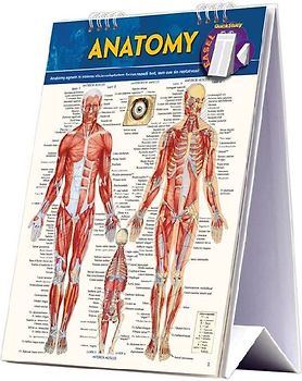Anatomy Easel Book