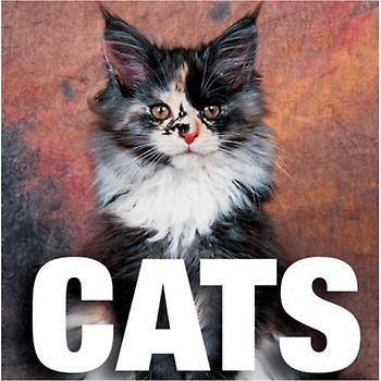 Cats (Cube Books) - Valeria Manferto De Fabianis