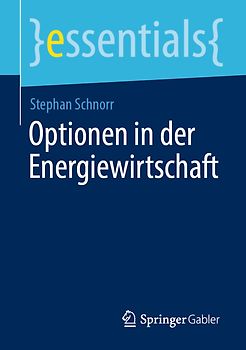Optionen in der Energiewirtschaft