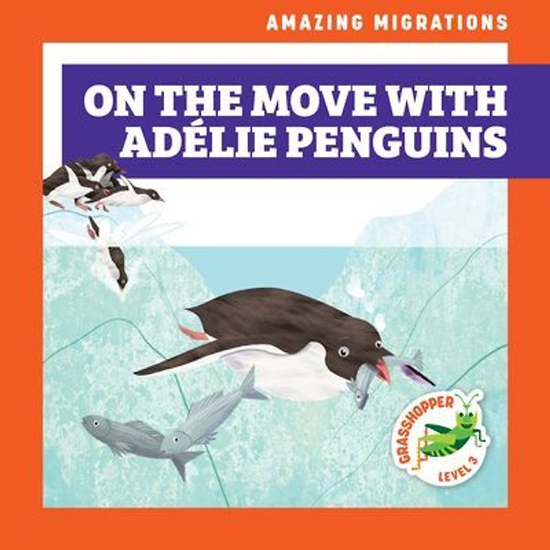 On the Move with Adélie Penguins