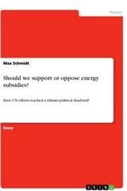 Should we support or oppose energy subsidies?