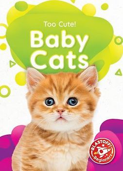 Baby Cats