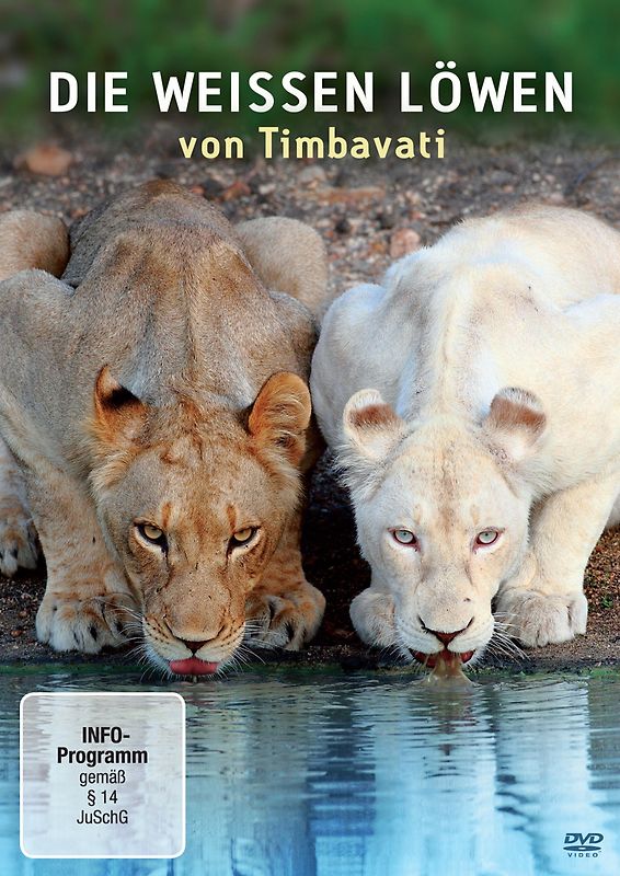 Die weißen Löwen von Timbavati DVD
