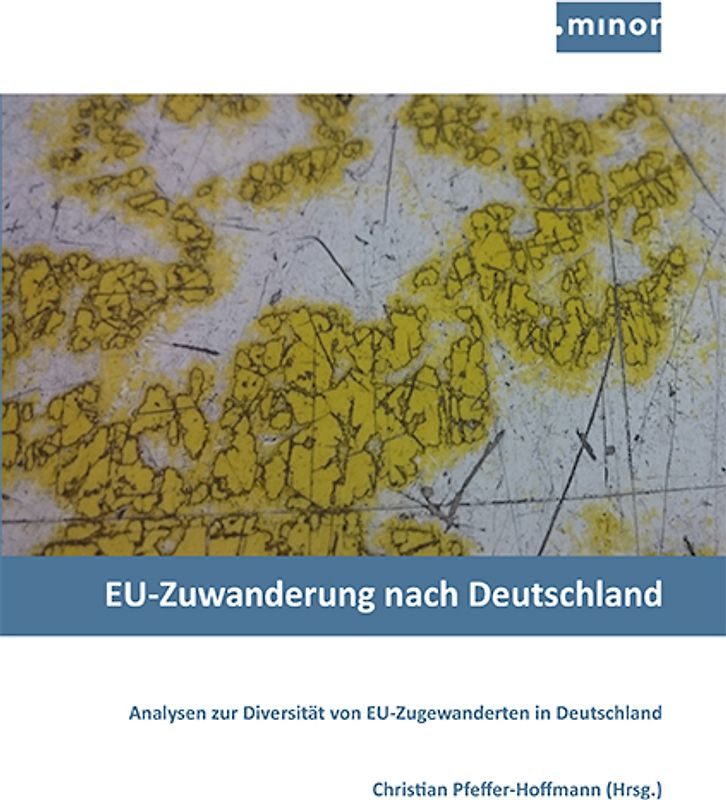 EU-Zuwanderung nach Deutschland - Analysen zur Diversität von EU-Zugewanderten in Deutschland