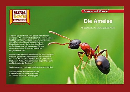 Die Ameise / Kamishibai Bildkarten: 10 Fotobildkarten für das Erzähltheater