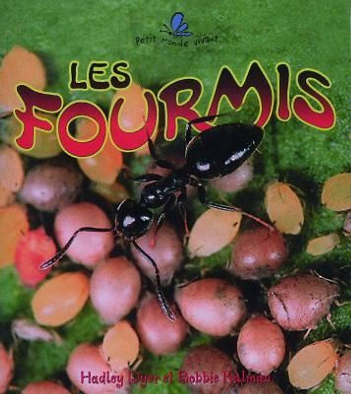 Les Fourmis (the Life Cycle of an Ant)