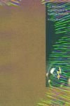 La expansión económica y la burbuja bursátil