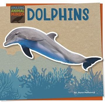 Dolphins