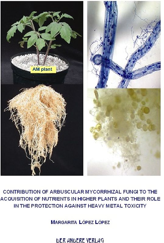 Contribution of arbuscular mycorrhizal fungi to the acquisition of nutrients in higher plants and their role in the protection against heavy metal toxicity