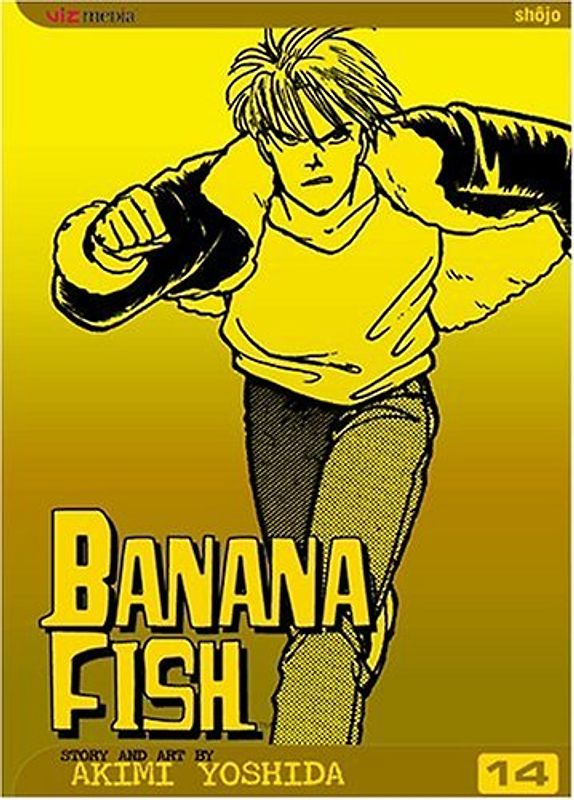 Banana Fish, Vol. 14