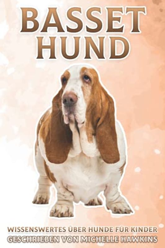Basset Hund: Wissenswertes über Hunde für Kinder #32