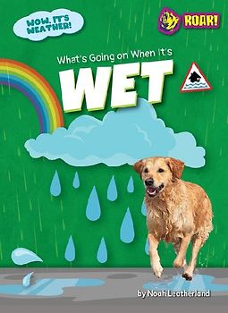 What's Going on When It's Wet