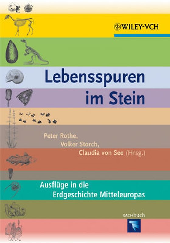 Lebensspuren im Stein