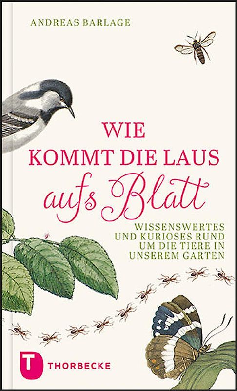 Wie kommt die Laus aufs Blatt?