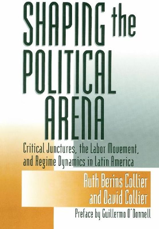 Shaping the Political Arena