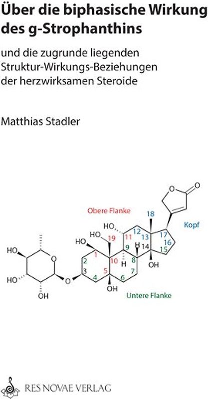 Über die biphasische Wirkung des g-Strophanthins