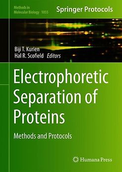 Electrophoretic Separation of Proteins