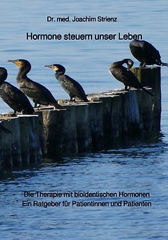 Hormone steuern unser Leben