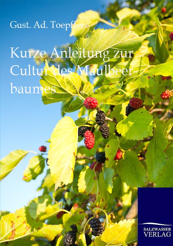 Kurze Anleitung zur Cultur des Maulbeerbaumes