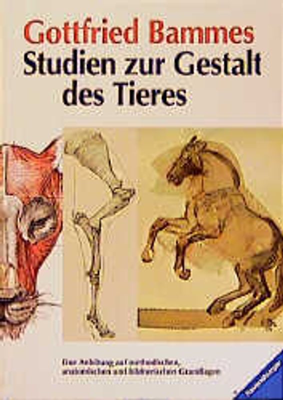 Studien zur Gestalt des Tieres