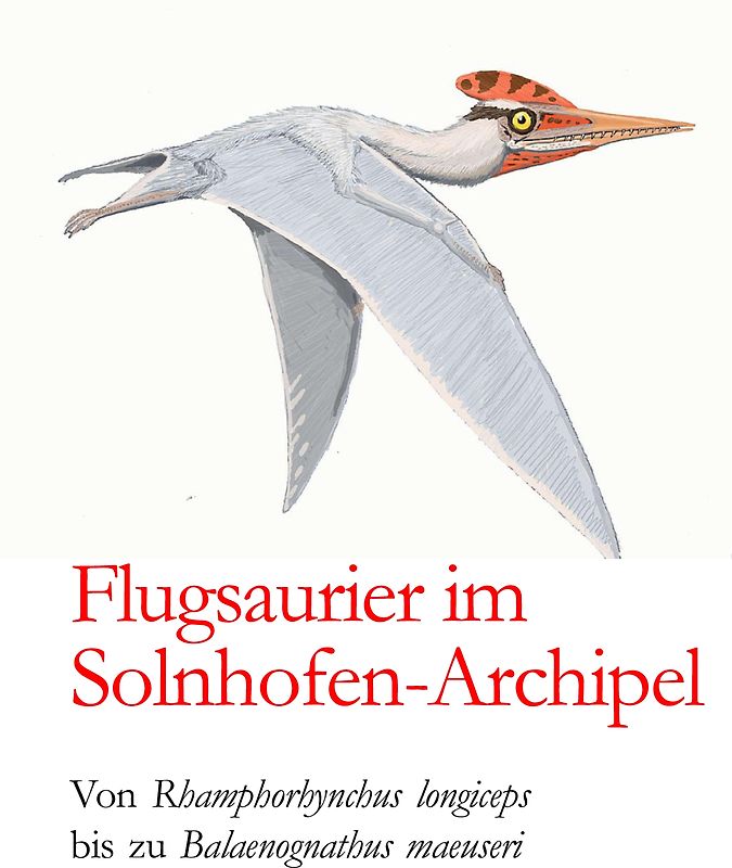 Flugsaurier im Solnhofen-Archipel