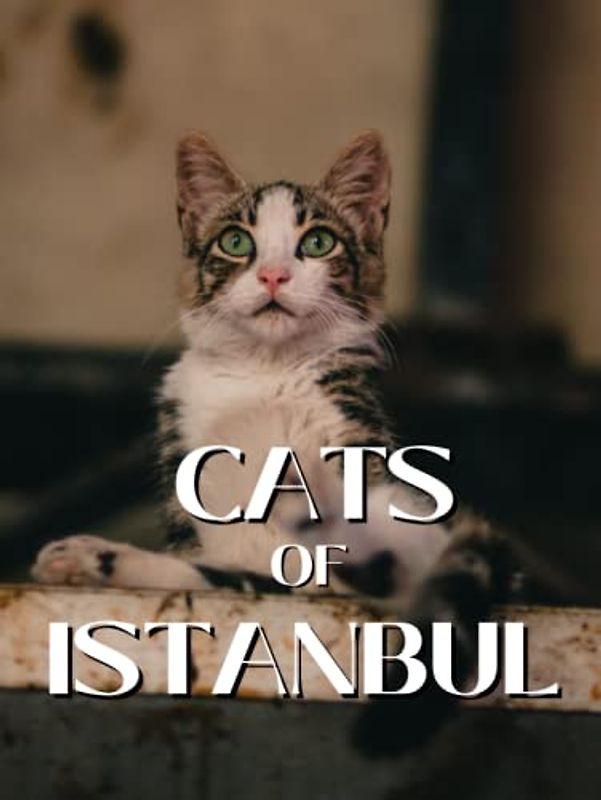 Cats of Istanbul: Coffee Table Picture Book