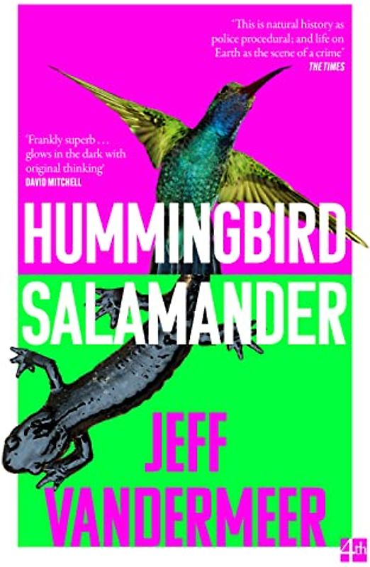 Hummingbird Salamander