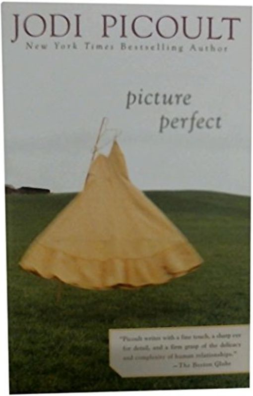 Picture Perfect - Jodi Picoult