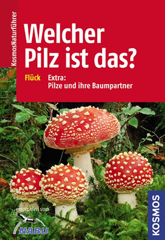 Welcher Pilz ist das?