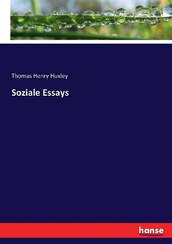Soziale Essays