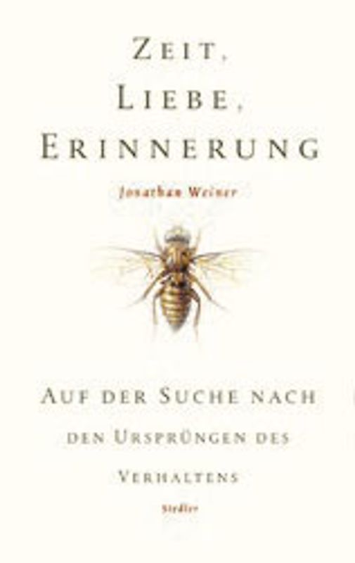 Zeit, Liebe, Erinnerung