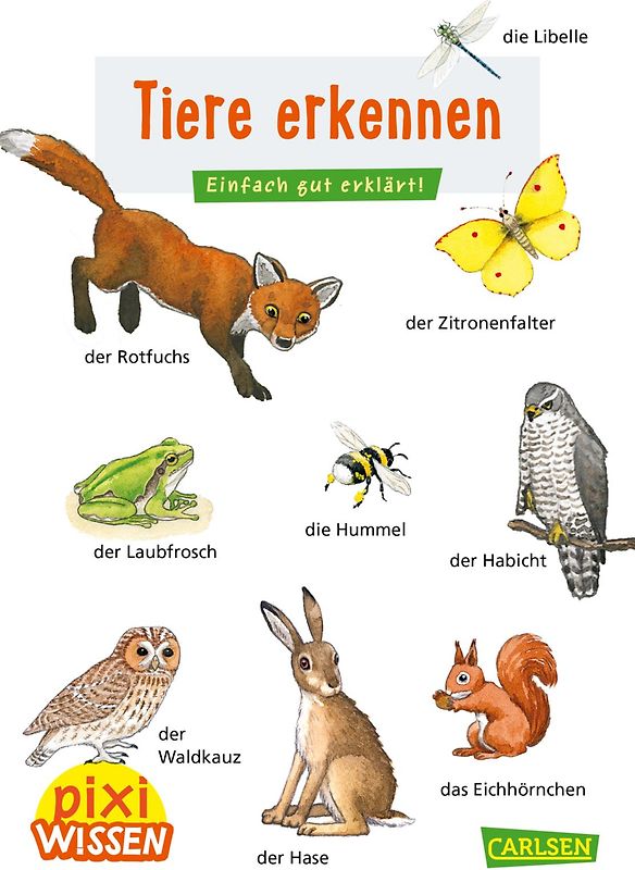 Pixi Wissen 30: Tiere erkennen