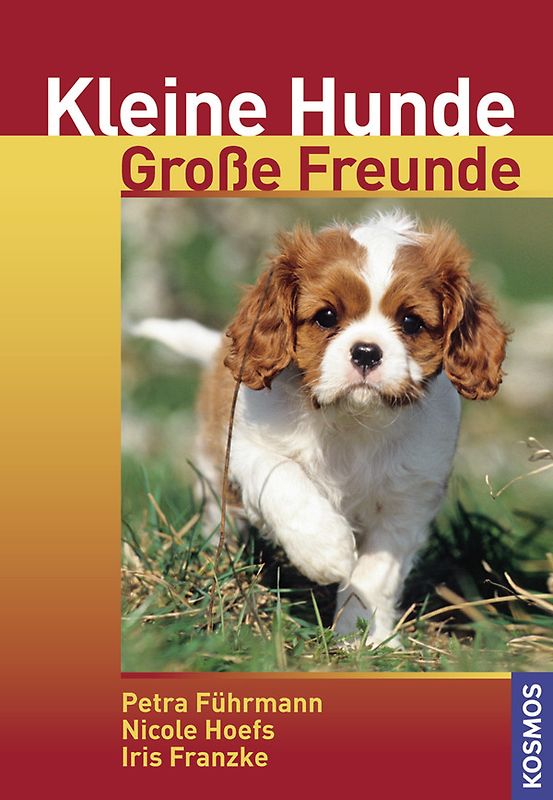 Kleine Hunde - Große Freunde