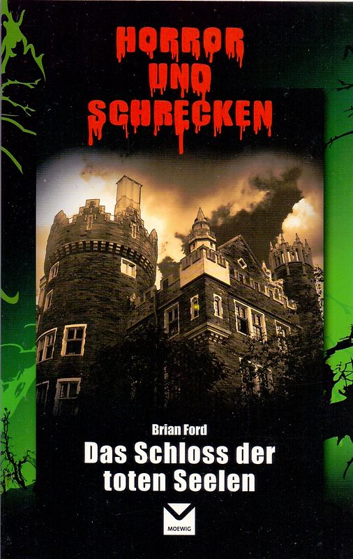 Horror und Schrecken: Das Schloss der toten Seelen - Brian Ford [Taschenbuch]