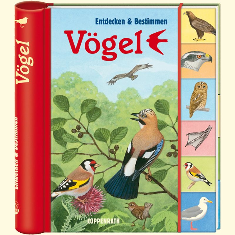 Vögel