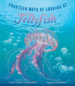 Fourteen Ways of Looking at Jellyfish