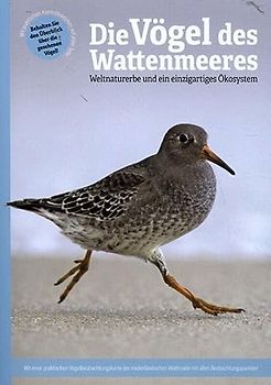 Die Vögel des Wattenmeeres: Weltnaturerbe und ein einzigartiges Ökosystem