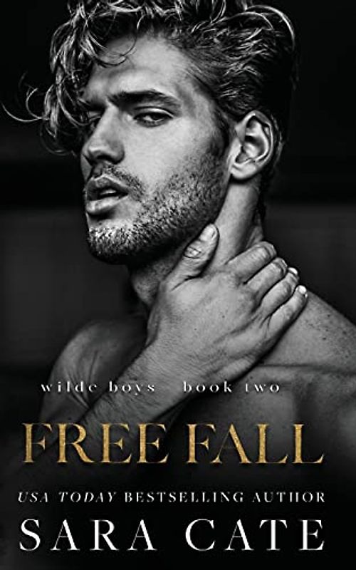 Free Fall: an MMF romance (The Wilde Boys, Band 2)