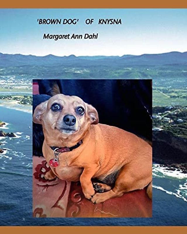 Brown Dog of Knysna