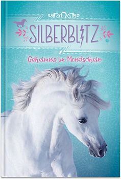 Silberblitz - Geheimnis im Mondschein