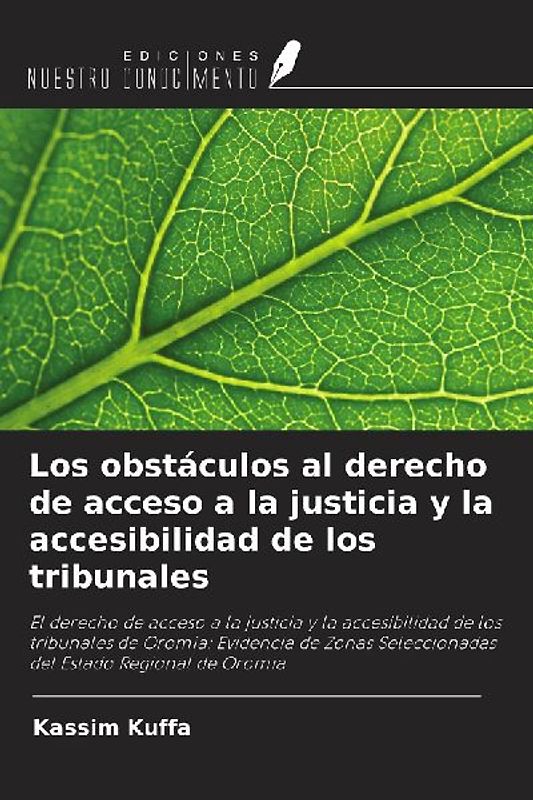 Los obstáculos al derecho de acceso a la justicia y la accesibilidad de los tribunales
