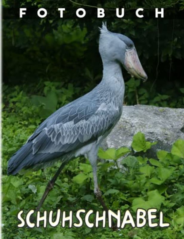 Schuhschnabel Fotobuch: Fotoalbum Wade-and-Walk-Slowly" Hunters Decor Wohnzimmer, Schlafzimmer, Büro | 40 Bilder für Frauen, Männer | Angstlinderung | Geburtstag | Jeder Anlass