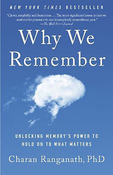 Why We Remember