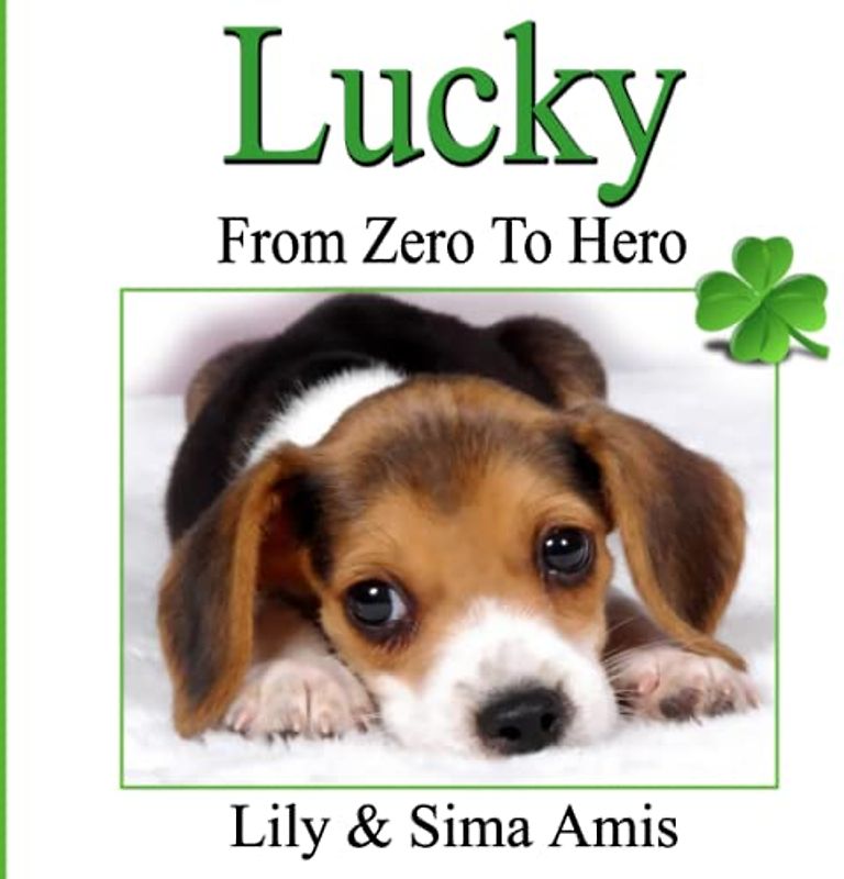 Lucky: From Zero to Hero