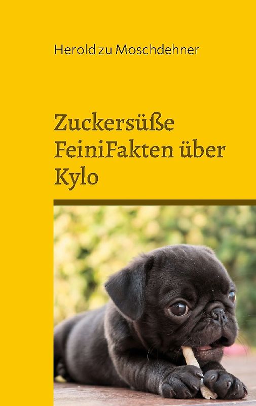 Zuckersüße FeiniFakten über Kylo
