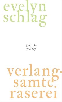 verlangsamte raserei