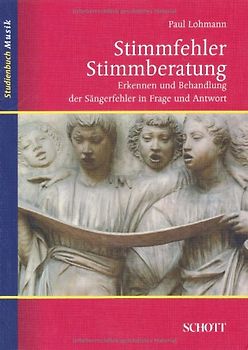 Stimmfehler – Stimmberatung