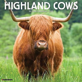 Highland Cows 2026 12 X 12 Wall Calendar