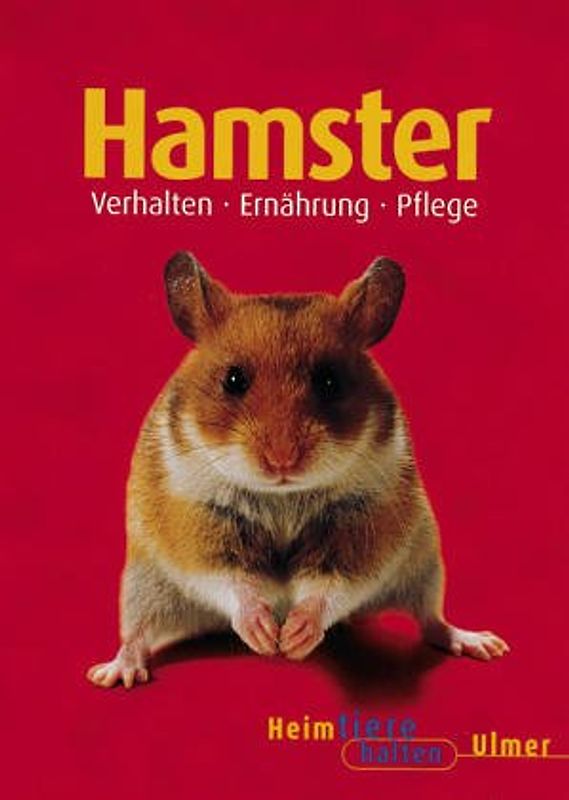 Hamster. Goldhamster, Streifenhamster und Dsungarien