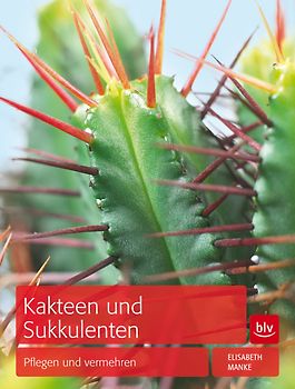 Kakteen und Sukkulenten
